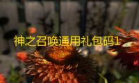 神之召唤通用礼包码1